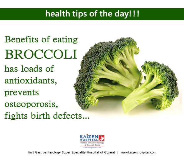 Nullam euismod commodo