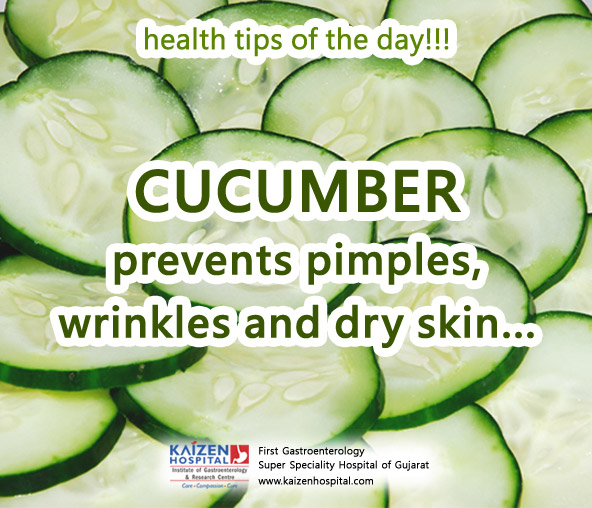 Nullam euismod commodo