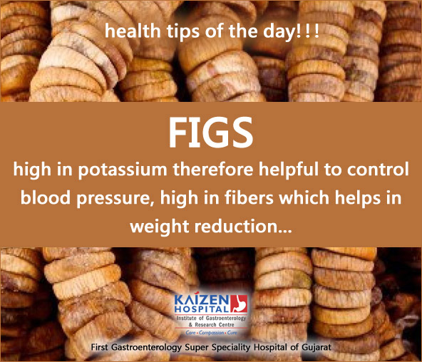 Nullam euismod commodo