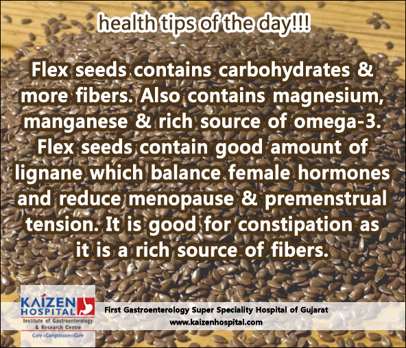 Nullam euismod commodo