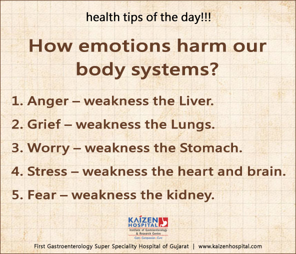 Nullam euismod commodo