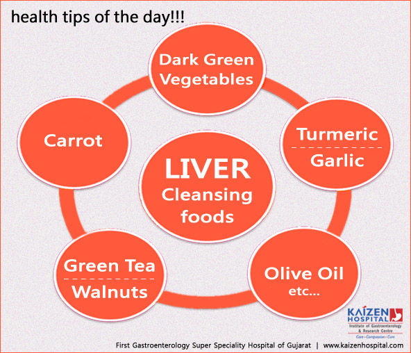 Nullam euismod commodo