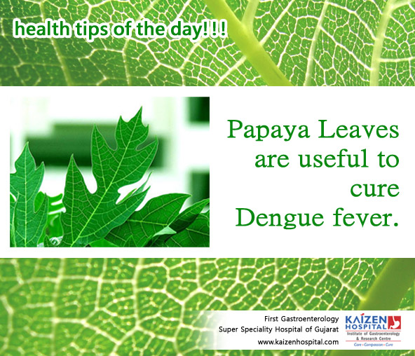 Nullam euismod commodo