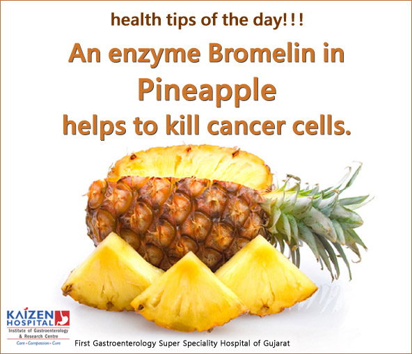 Nullam euismod commodo