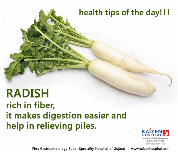 Nullam euismod commodo