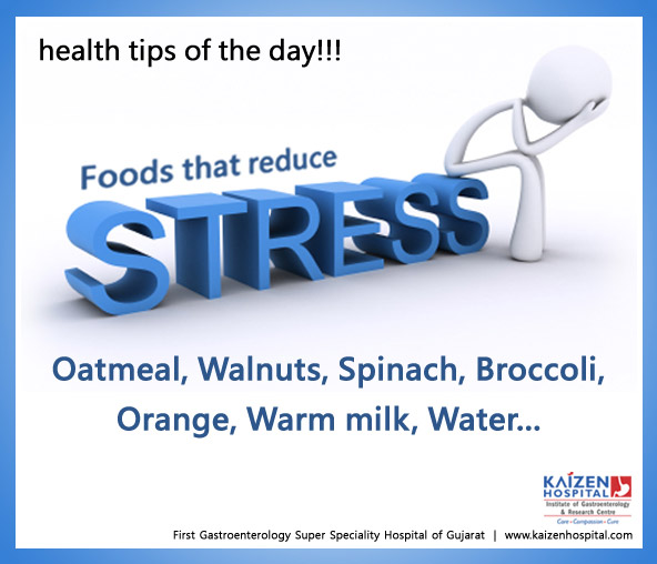 Nullam euismod commodo