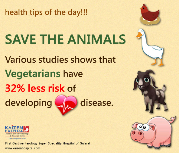 Nullam euismod commodo