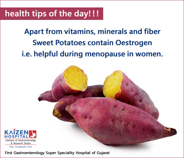 Nullam euismod commodo