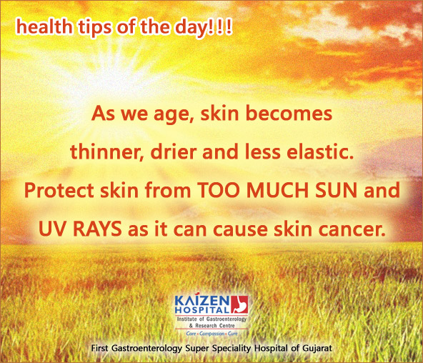 Nullam euismod commodo