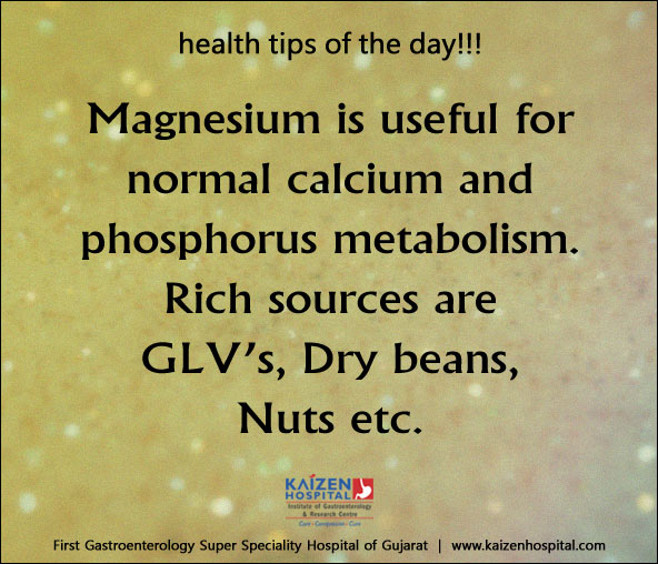 Nullam euismod commodo