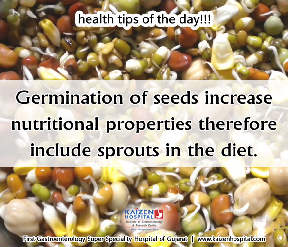 Nullam euismod commodo