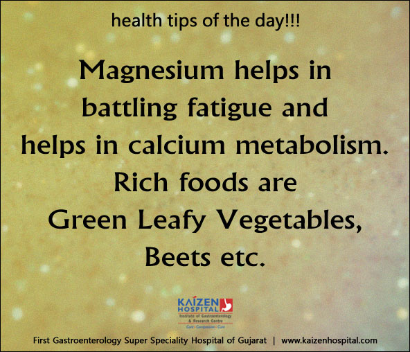 Nullam euismod commodo