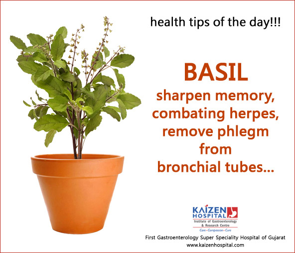 Nullam euismod commodo